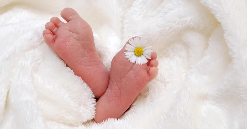 Minipouce face aux autres listes de naissance